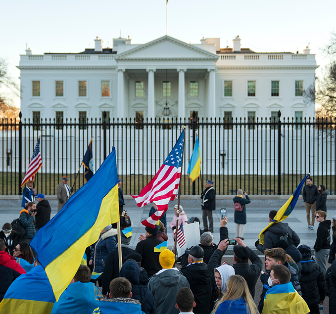 Ukraine Flag