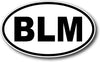 BLM Oval Sticker